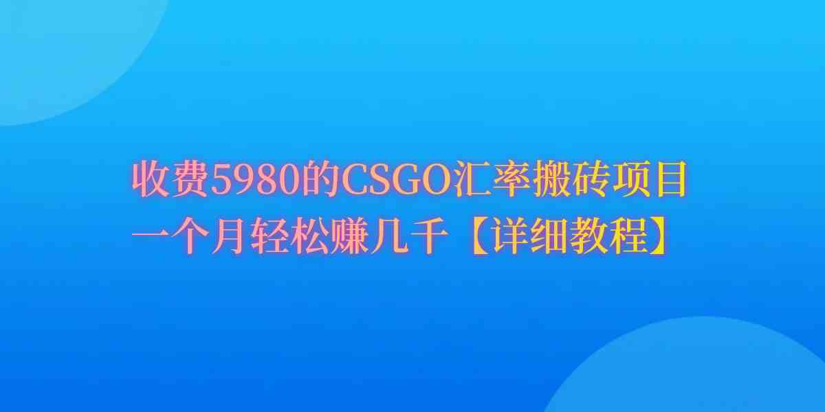 （9776期）CSGO装备搬砖，月综合收益率高达60%，你也可以！-全网项目副业VIP教程分享_知识付费课程虚拟资源代理加盟