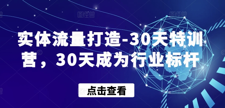 实体流量打造-30天特训营，30天成为行业标杆-全网项目副业VIP教程分享_知识付费课程虚拟资源代理加盟