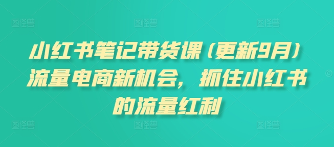 小红书笔记带货课(更新12月)流量电商新机会，抓住小红书的流量红利-全网项目副业VIP教程分享_知识付费课程虚拟资源代理加盟