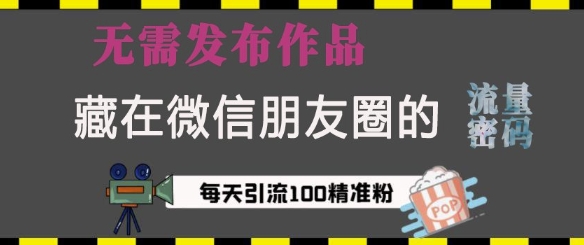 藏在微信朋友圈的流量密码，无需发布作品，单日引流100+精准创业粉【揭秘】-全网项目副业VIP教程分享_知识付费课程虚拟资源代理加盟