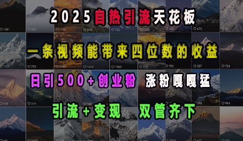 2025自热引流天花板，一条视频能带来四位数的收益，引流+变现双管齐下，日引500+创业粉，涨粉嘎嘎猛-全网项目副业VIP教程分享_知识付费课程虚拟资源代理加盟