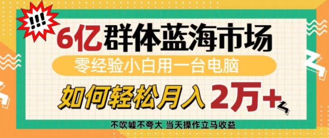 6亿群体蓝海市场，零经验小白用一台电脑，如何轻松月入过w【揭秘】-全网项目副业VIP教程分享_知识付费课程虚拟资源代理加盟