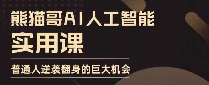 AI人工智能实用课，实在实用实战，普通人逆袭翻身的巨大机会-全网项目副业VIP教程分享_知识付费课程虚拟资源代理加盟