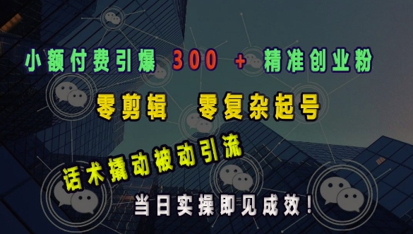 小额付费引爆 300 + 精准创业粉，零剪辑、零复杂起号，话术撬动被动引流，当日实操即见成效-全网项目副业VIP教程分享_知识付费课程虚拟资源代理加盟