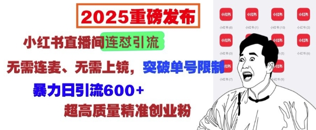 2025重磅发布：小红书直播间连怼引流，无需连麦、无需上镜，突破单号限制，暴力日引流600+-全网项目副业VIP教程分享_知识付费课程虚拟资源代理加盟