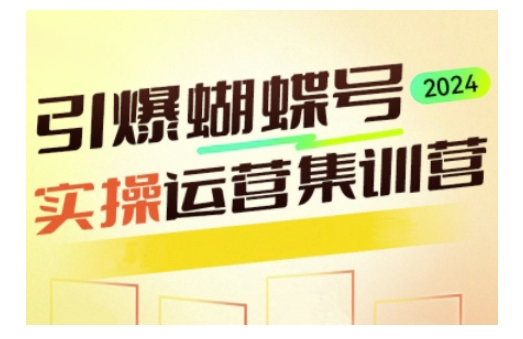 引爆蝴蝶号实操运营，助力你深度掌握蝴蝶号运营，实现高效实操，开启流量变现之路-全网项目副业VIP教程分享_知识付费课程虚拟资源代理加盟