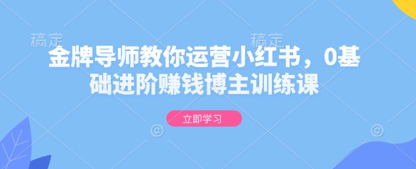 金牌导师教你运营小红书，0基础进阶赚钱博主训练课-全网项目副业VIP教程分享_知识付费课程虚拟资源代理加盟