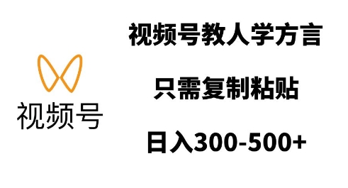 视频号教人学方言，只需复制粘贴，日入多张-全网项目副业VIP教程分享_知识付费课程虚拟资源代理加盟