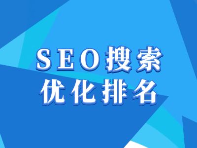 抖音搜索SEO教程，抖音SEO搜索优化排名-全网项目副业VIP教程分享_知识付费课程虚拟资源代理加盟