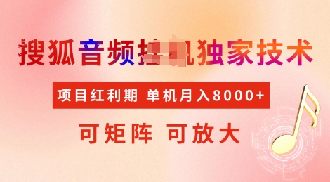 全网首发搜狐音频挂JI独家技术，项目红利期，可矩阵可放大，稳定月入8k【揭秘】-全网项目副业VIP教程分享_知识付费课程虚拟资源代理加盟