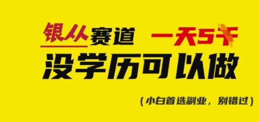 靠银从证书，日入多张，会截图就能做，直接抄答案(附：银从合集)-全网项目副业VIP教程分享_知识付费课程虚拟资源代理加盟