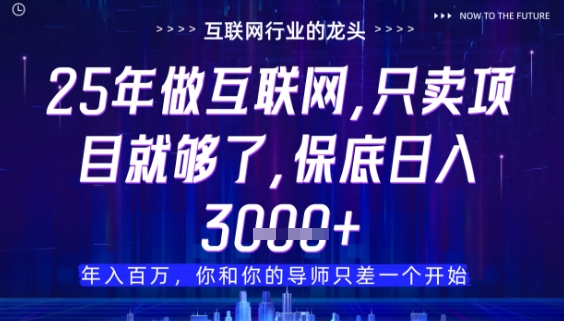 什么！25年你还在找项目做？风口早就变了，卖项目才是稳挣不赔【揭秘】-全网项目副业VIP教程分享_知识付费课程虚拟资源代理加盟