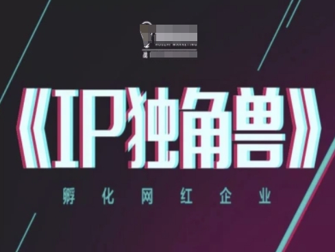 IP独角兽，孵化网红企业，ip教程-全网项目副业VIP教程分享_知识付费课程虚拟资源代理加盟