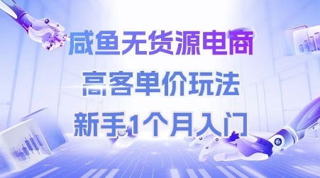 咸鱼无货源电商，高客单价玩法，新手1个月入门-全网项目副业VIP教程分享_知识付费课程虚拟资源代理加盟