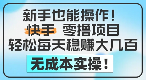 新手也能操作，快手零撸挣米，轻松每天挣2-5张，完全无成本-全网项目副业VIP教程分享_知识付费课程虚拟资源代理加盟