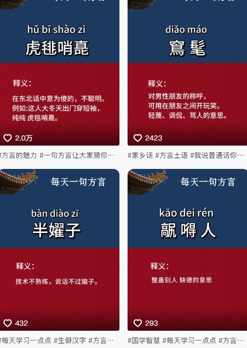抖音最新涨粉玩法，图文方言暴力涨粉实操，126作品涨粉11W-全网项目副业VIP教程分享_知识付费课程虚拟资源代理加盟